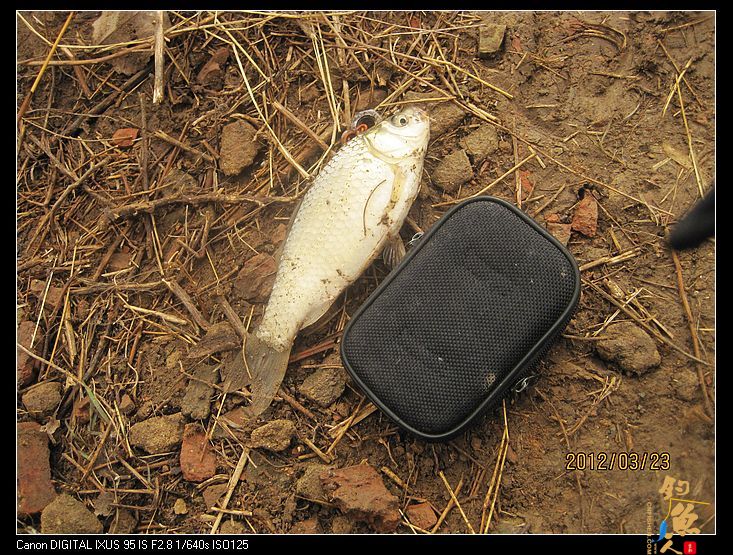 钓鱼日记七之大风归来