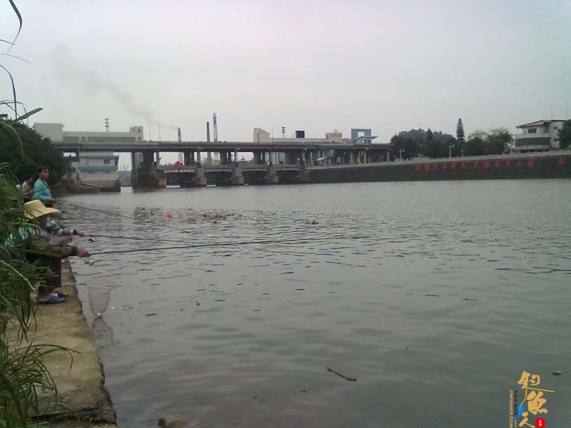 3-22 首战北街水闸钩得大鲤