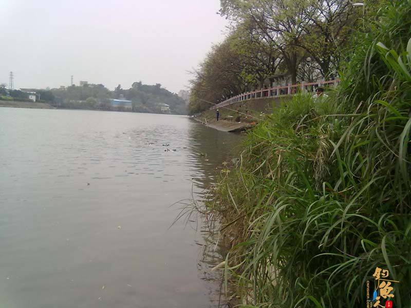 3-22 首战北街水闸钩得大鲤