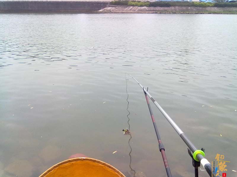 3-22 首战北街水闸钩得大鲤