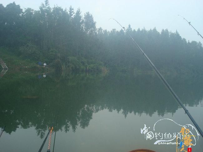 两踏幽潭觅非踪 清剿战况各不同（上篇）