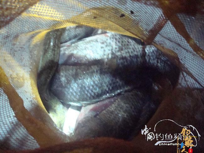 两踏幽潭觅非踪 清剿战况各不同（上篇）