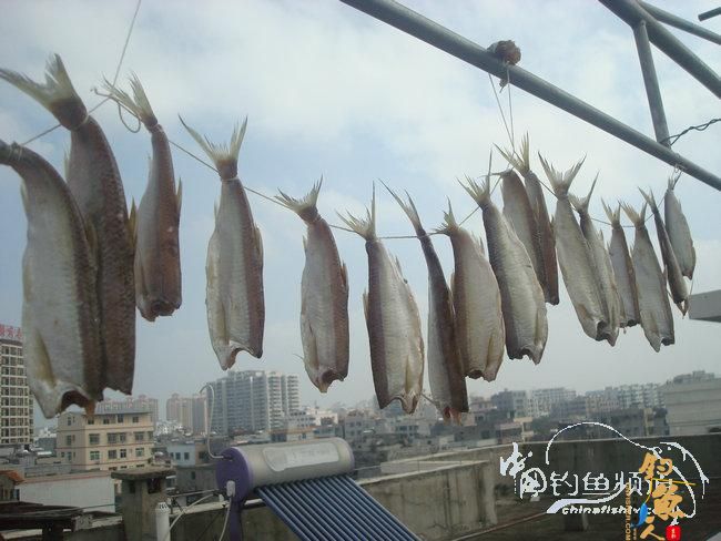 两踏幽潭觅非踪 清剿战况各不同（上篇）