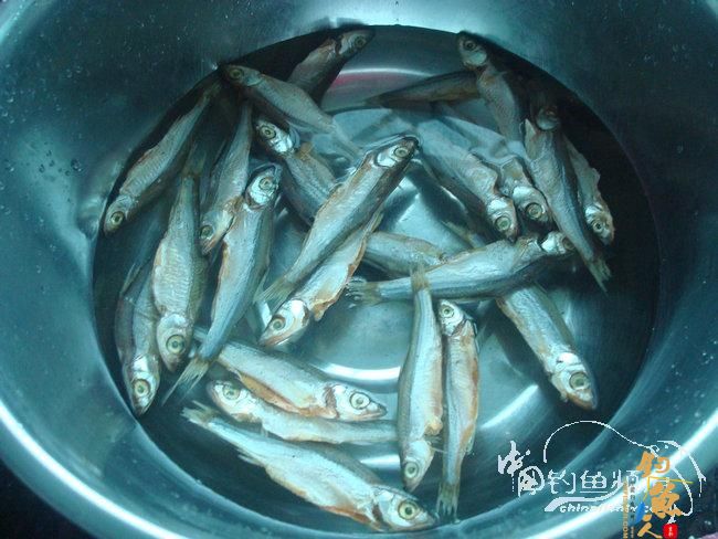 两踏幽潭觅非踪 清剿战况各不同（上篇）