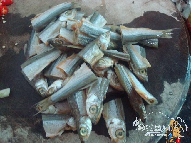 两踏幽潭觅非踪 清剿战况各不同（上篇）