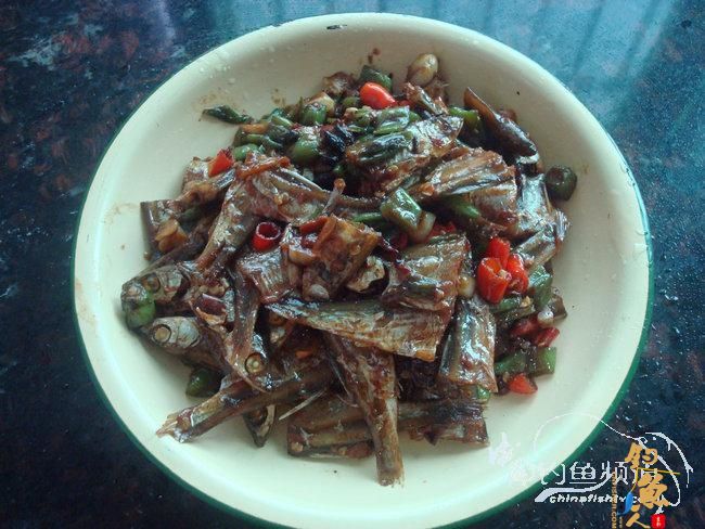 两踏幽潭觅非踪 清剿战况各不同（上篇）