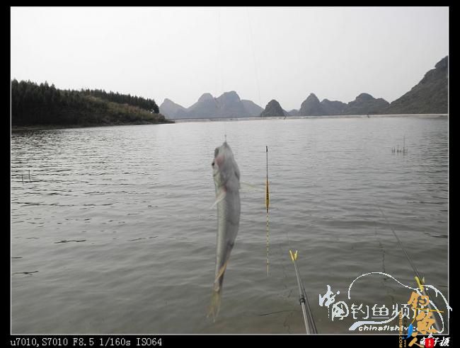 今日过瘾了 天黑前两个多小时的狂抽