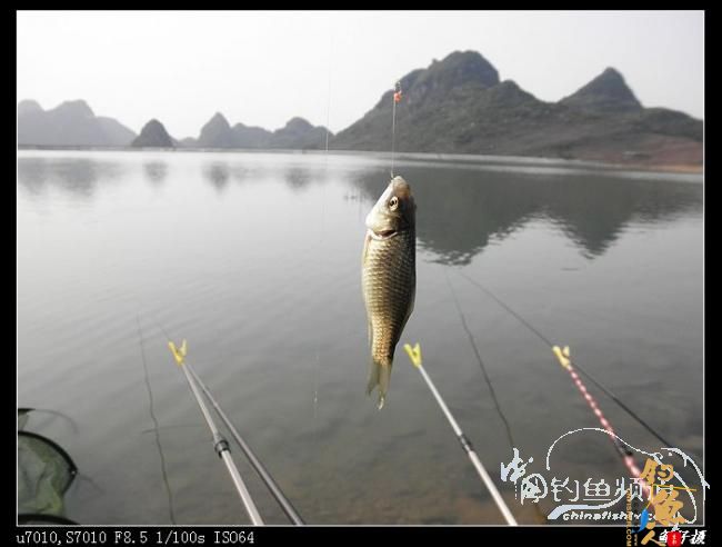 今日过瘾了 天黑前两个多小时的狂抽