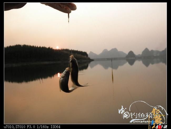 今日过瘾了 天黑前两个多小时的狂抽