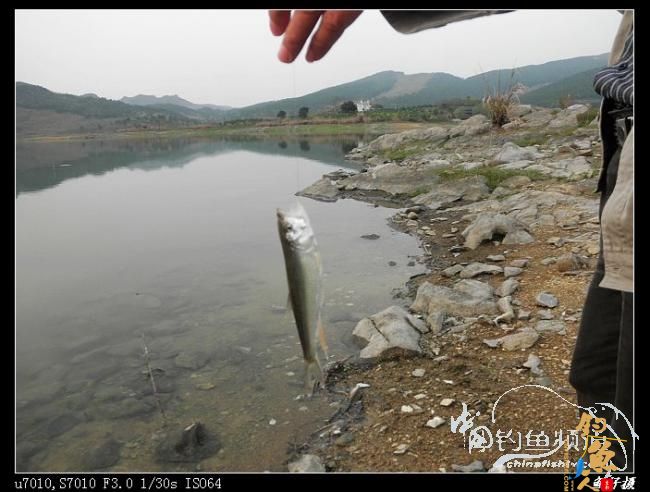 今日过瘾了 天黑前两个多小时的狂抽