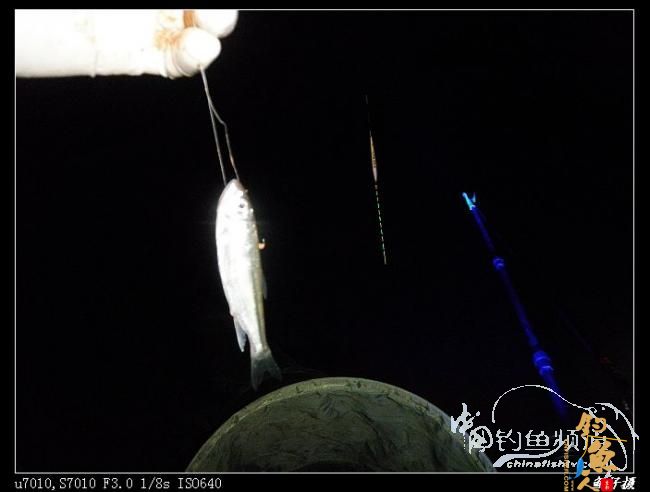 今日过瘾了 天黑前两个多小时的狂抽