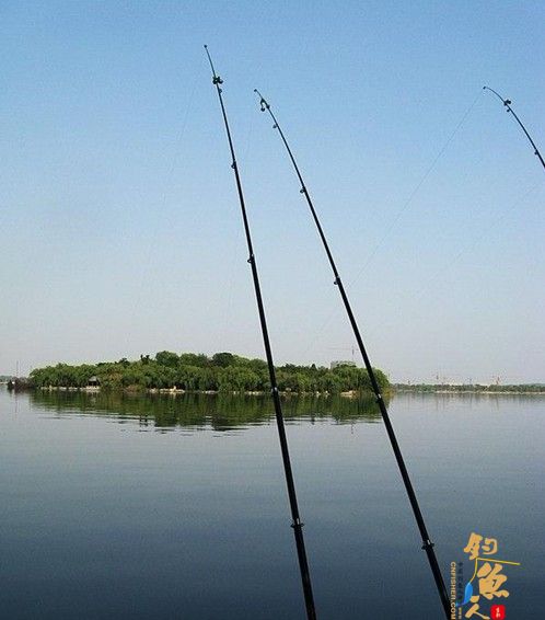 2011秋之印 收获大红鲤