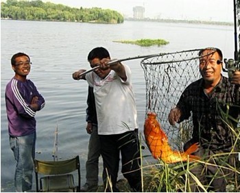 2011秋之印 收获大红鲤