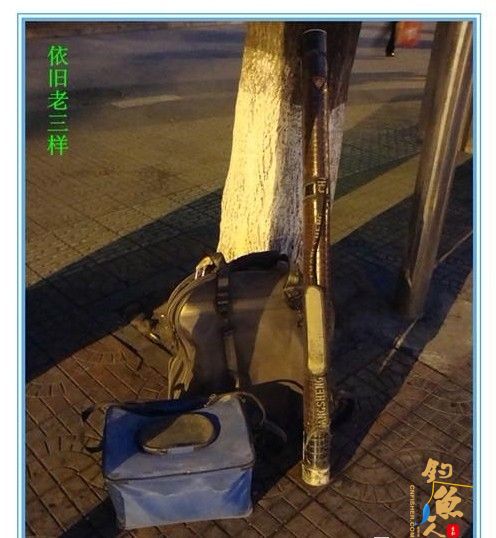 草长莺飞三月天，忙趁春风水库行