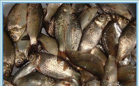 草长莺飞三月天，忙趁春风水库行