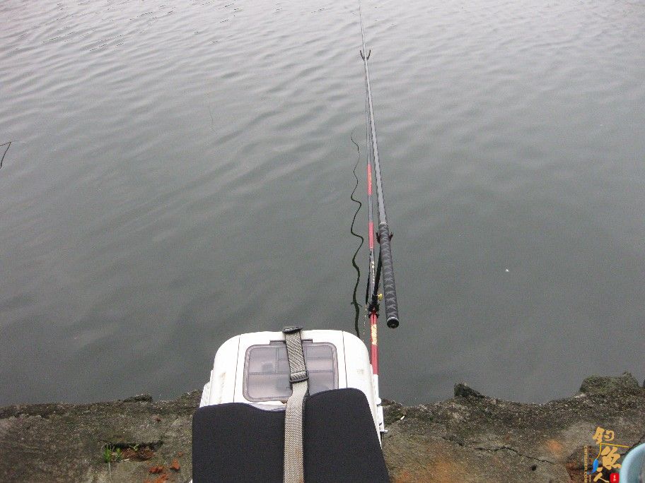 海口钓友会群“1+1组合杯”乡村钓鱼比赛圆满结束