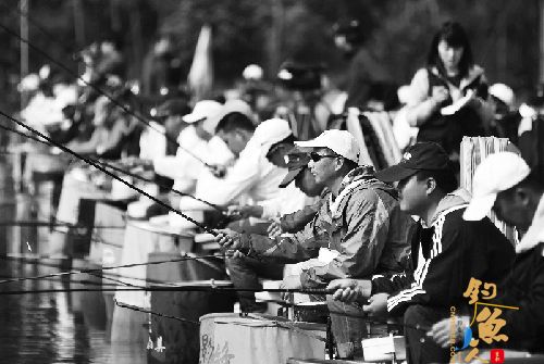 浙江金华出了个全国钓鲫总冠军