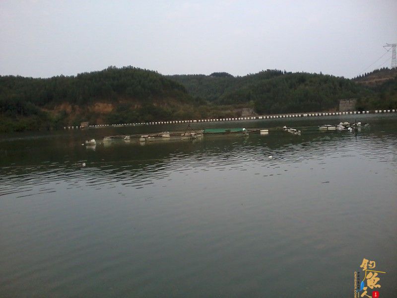 三月三，鲫鱼没有过节