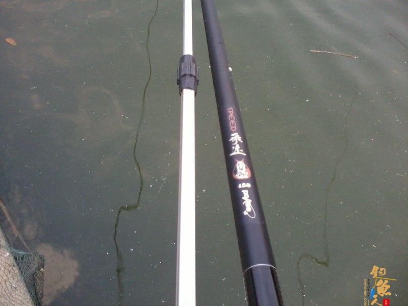 三月三，鲫鱼没有过节