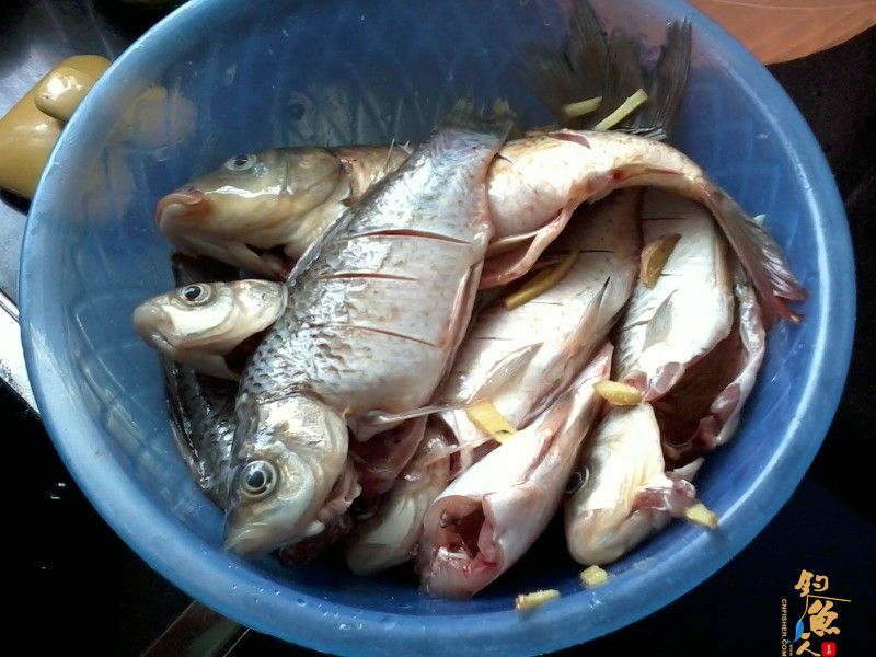 三月三，鲫鱼没有过节