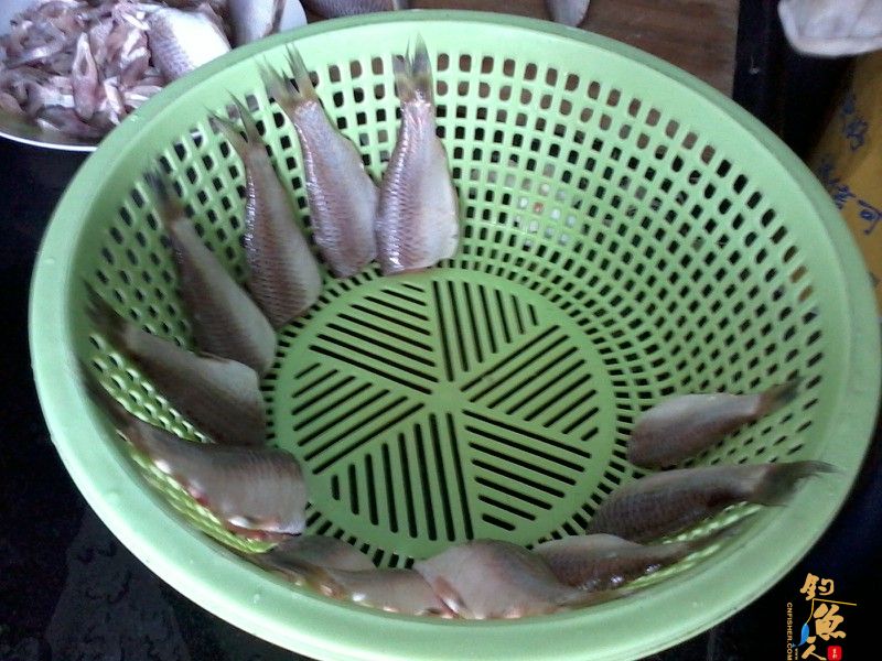 三月三，鲫鱼没有过节