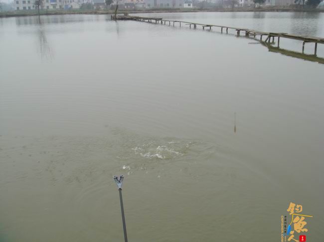 江南渔事—春钓篇：雨前钓鲫小解瘾