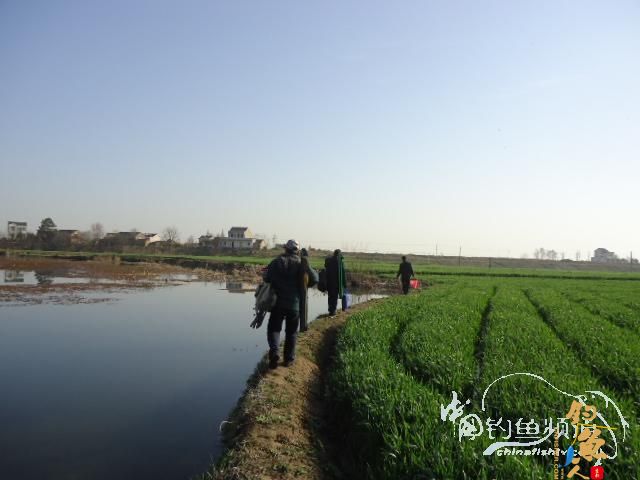 钓鱼系列之十五 【原创】找呀找呀找呀找