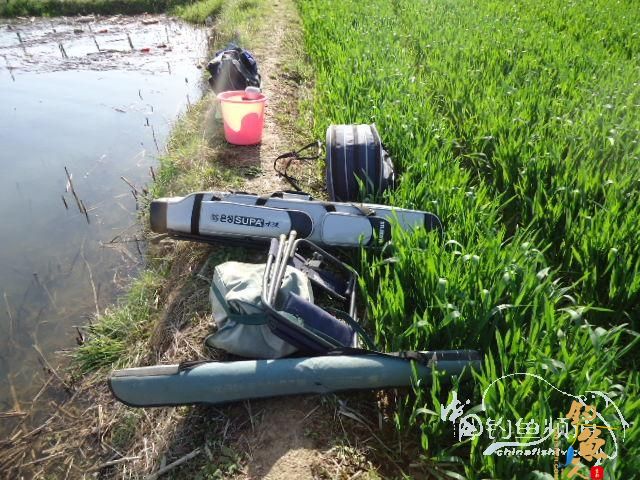 钓鱼系列之十五 【原创】找呀找呀找呀找