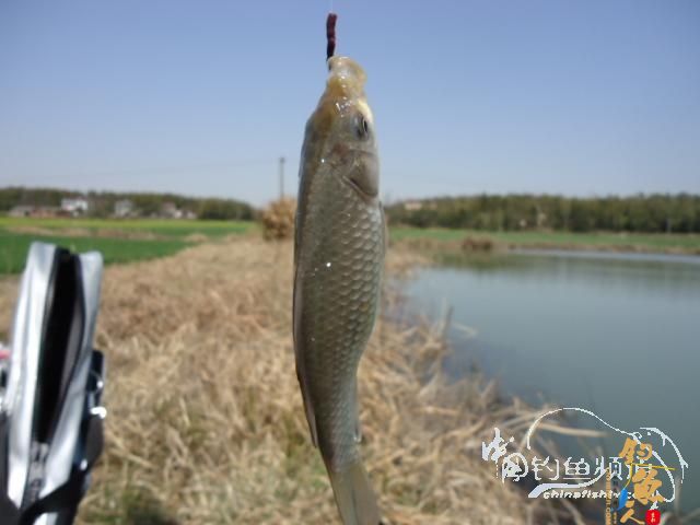 钓鱼系列之十五 【原创】找呀找呀找呀找