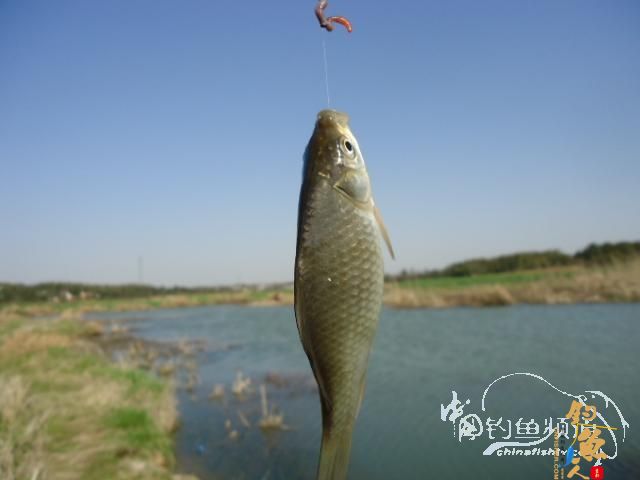 钓鱼系列之十五 【原创】找呀找呀找呀找