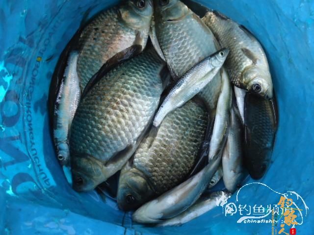 钓鱼系列之十五 【原创】找呀找呀找呀找