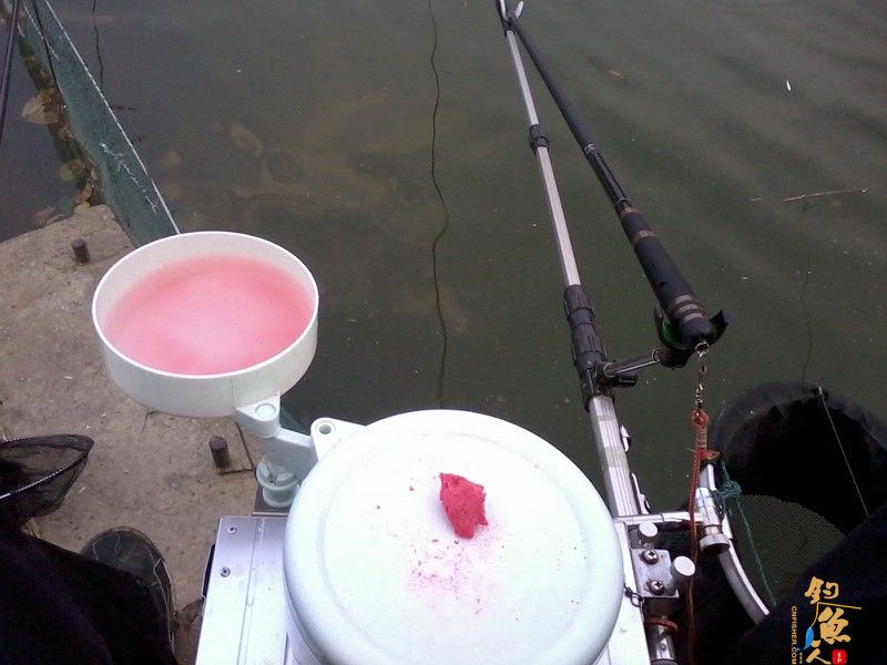 三月三，鲫鱼没有过节