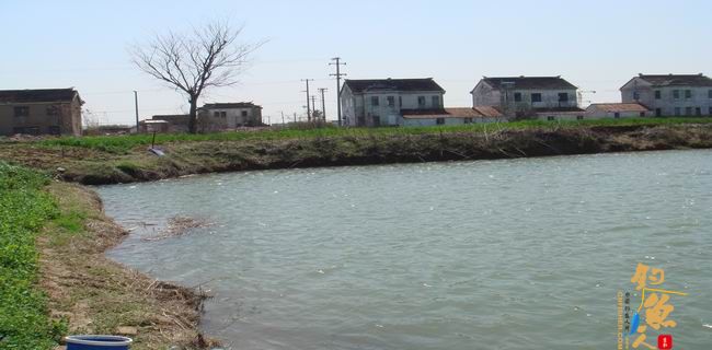 江南渔事—春钓篇：初刷鲹条（二）