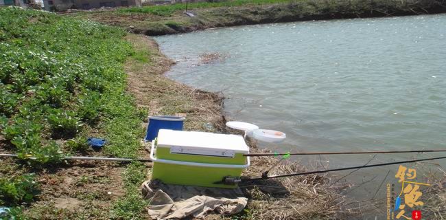 江南渔事—春钓篇：初刷鲹条（二）