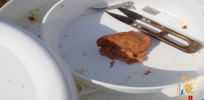 江南渔事—春钓篇:初刷鲹条(二)