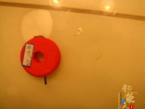 江南渔事—春钓篇:初刷鲹条(二)