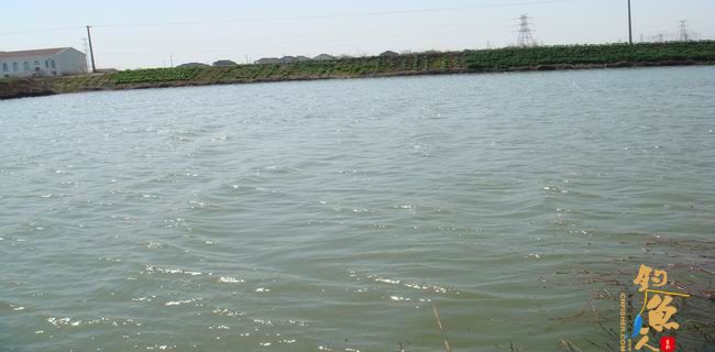 江南渔事—春钓篇：初刷鲹条（二）