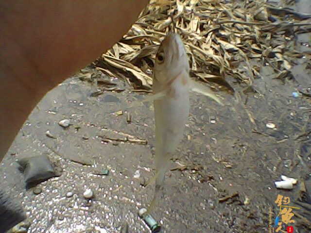 收获惨淡，依然乐呵