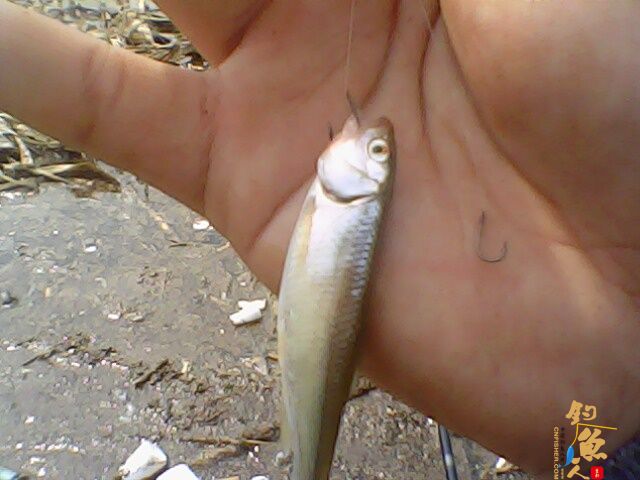 收获惨淡，依然乐呵