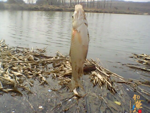 收获惨淡，依然乐呵