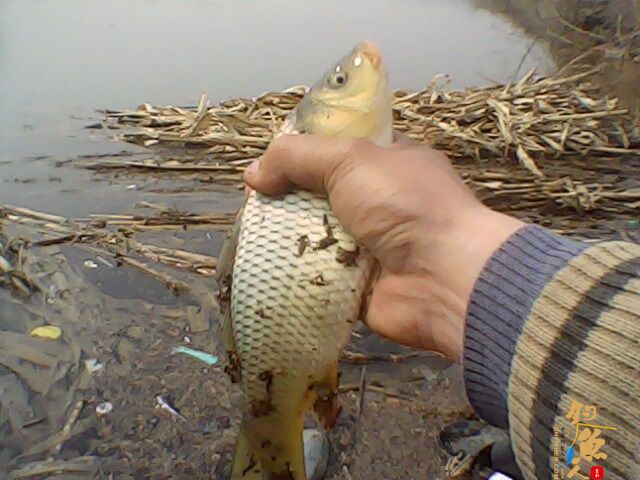 收获惨淡，依然乐呵