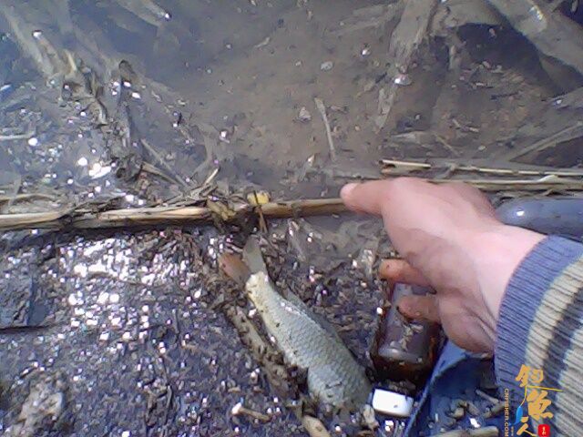 收获惨淡，依然乐呵