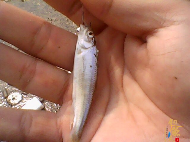 收获惨淡，依然乐呵