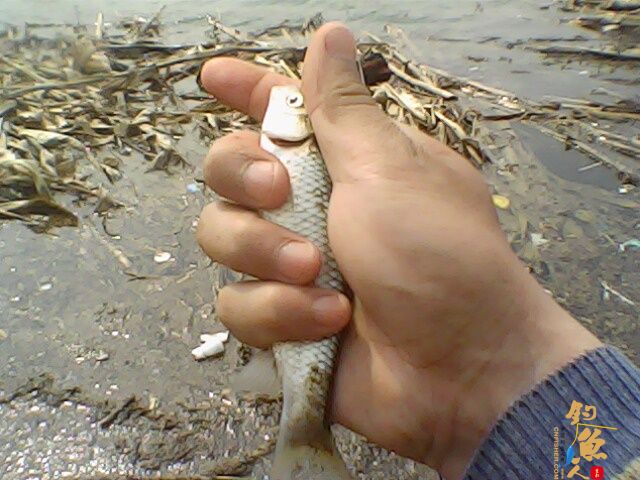 收获惨淡，依然乐呵