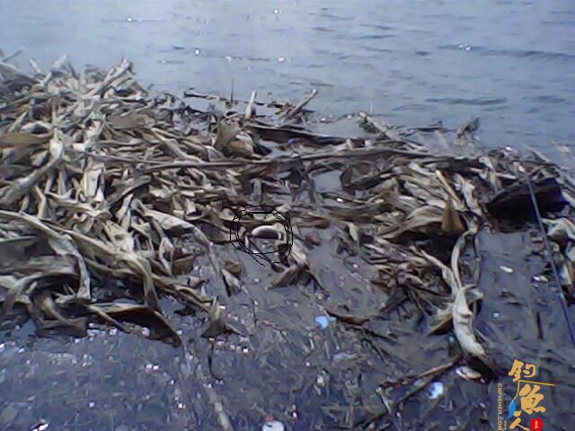 收获惨淡，依然乐呵