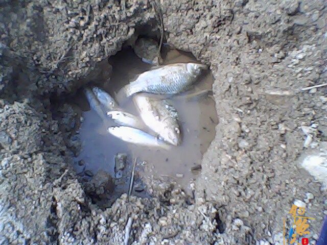 收获惨淡，依然乐呵