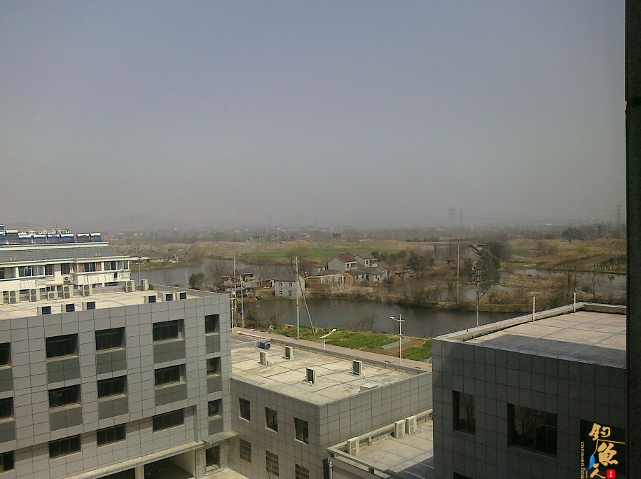 春风带来的激情 3天钓鱼鱼获展示