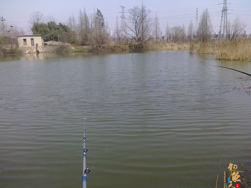 春风带来的激情 3天钓鱼鱼获展示