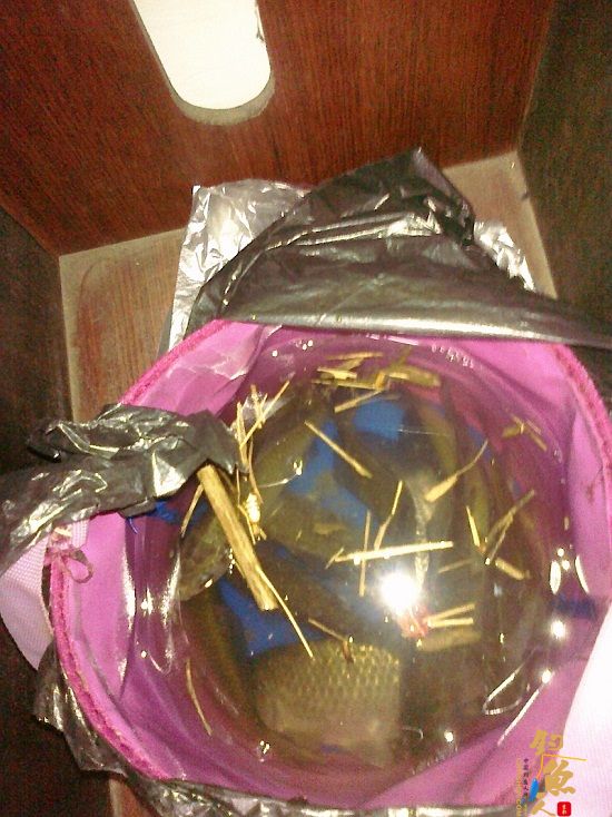 春风带来的激情 3天钓鱼鱼获展示