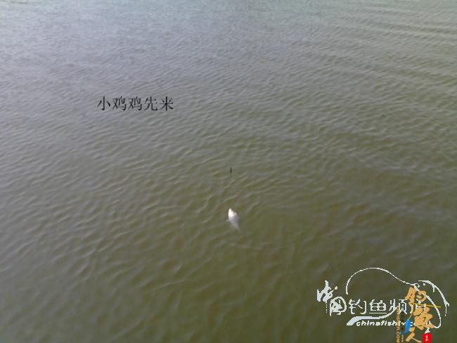 2012野钓篇三《独钓光明水库牛家庄》